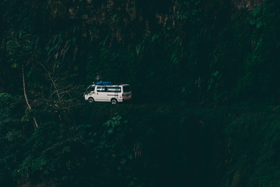 white van surrounded by trees