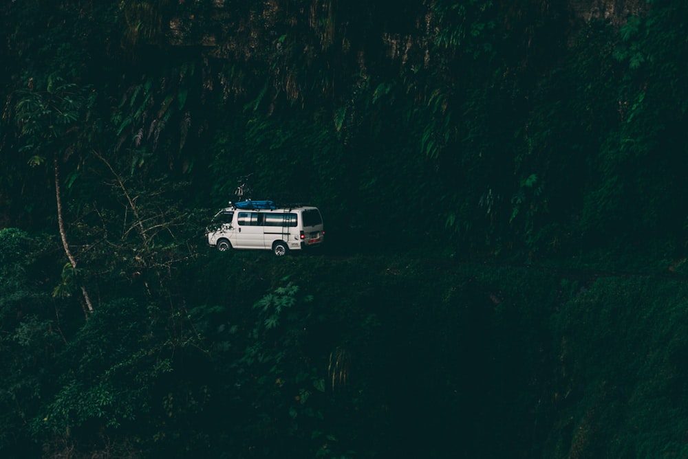 white van surrounded by trees