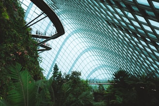 Inside a large glass conservatory with abundant green foliage, a walkway extends through the lush environment, filled with various types of tropical plants. People are seen walking along a suspended bridge under the high, arched ceiling made of transparent panels, offering an expansive view of the enclosed space.