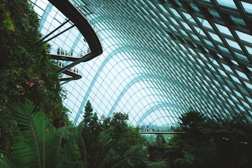 Inside a large glass conservatory with abundant green foliage, a walkway extends through the lush environment, filled with various types of tropical plants. People are seen walking along a suspended bridge under the high, arched ceiling made of transparent panels, offering an expansive view of the enclosed space.