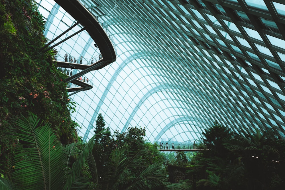 Blaues Klarglasgebäude während des Tages Foto