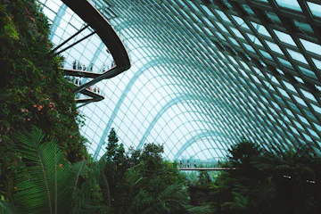 Cloud Forest Bridge, Singapore