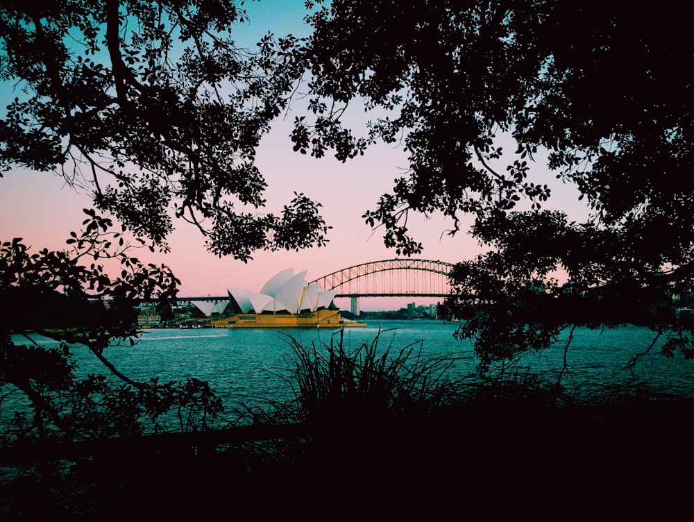 silhouette photo of trees with a view of Sydney Opera House