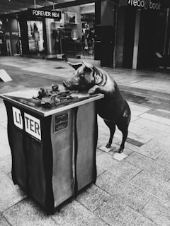 An abstract representation of urban life with pig motifs.
