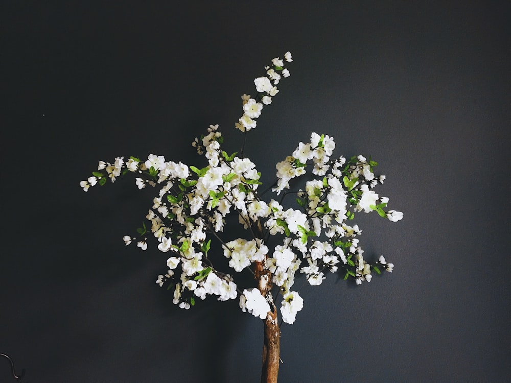 白い花びらの花の束