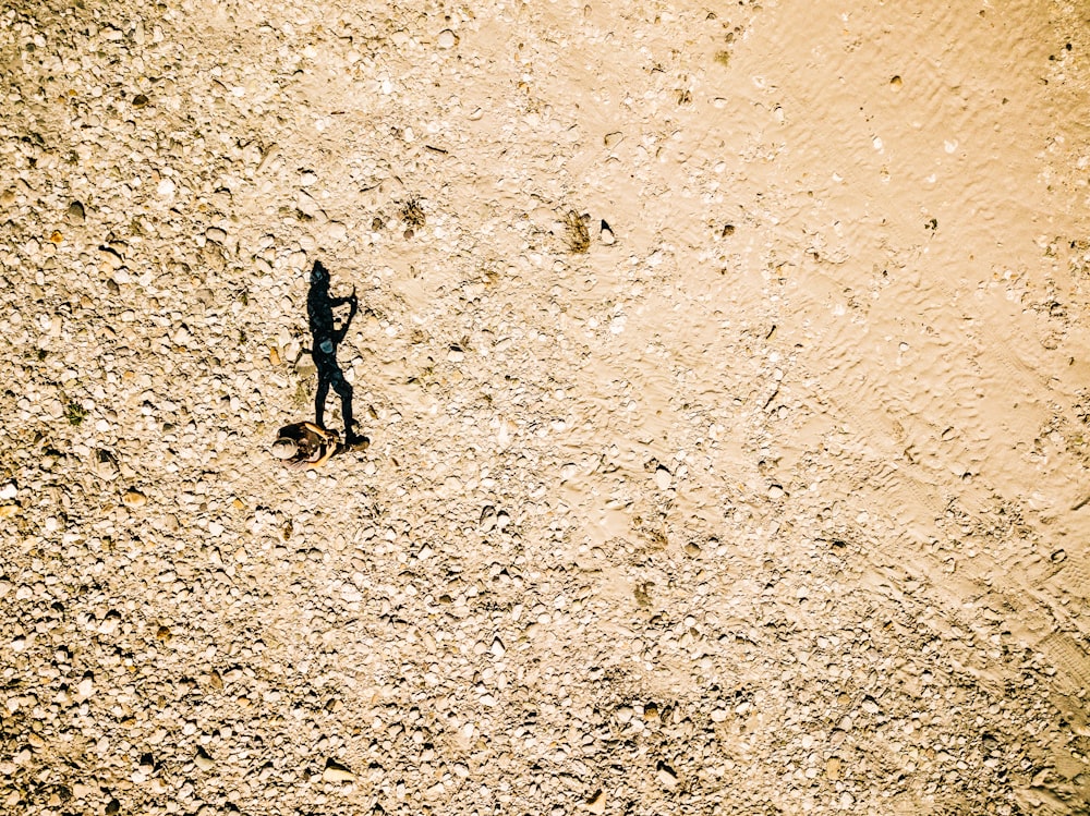 person standing on land