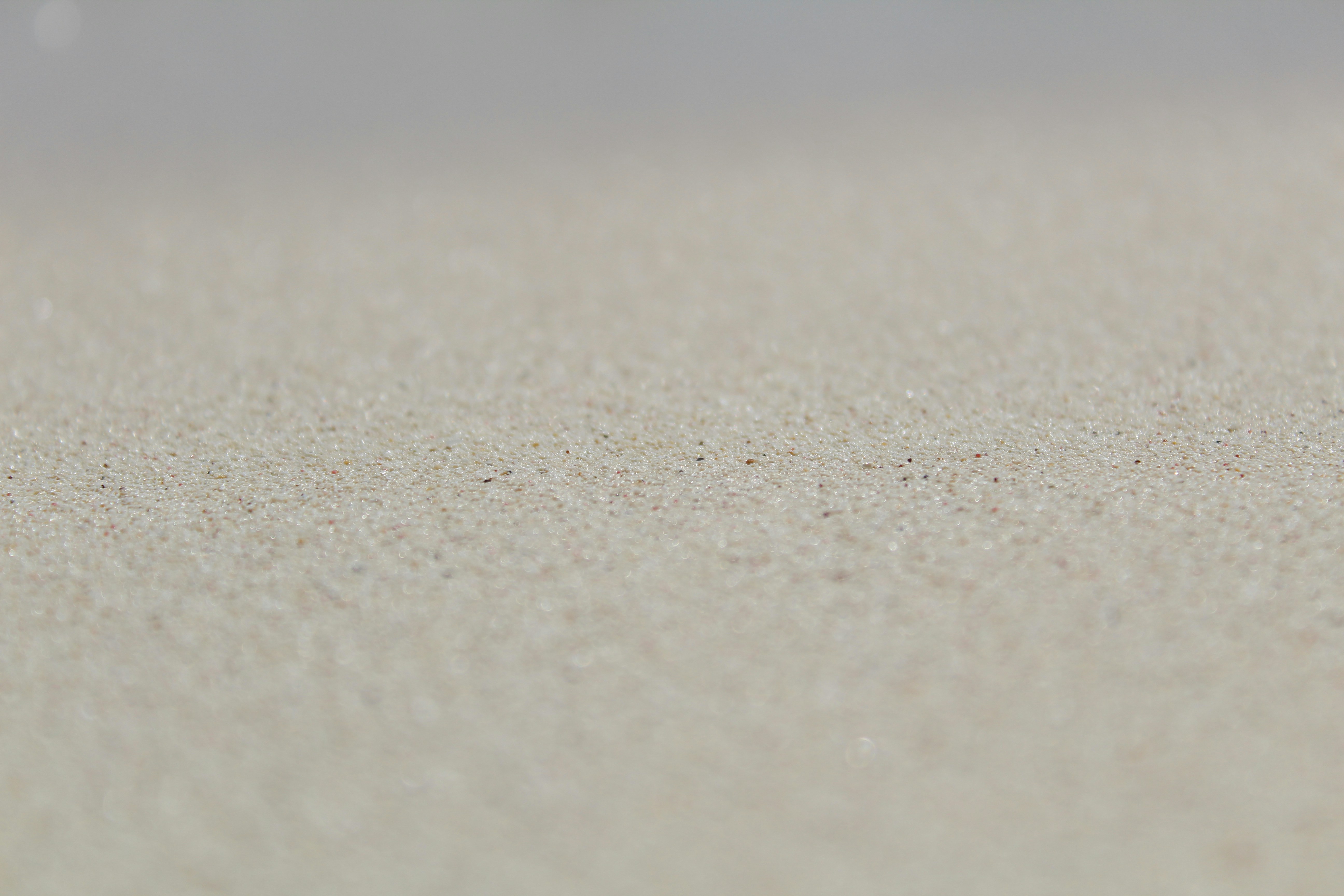 a close up of a sand dune with a blurry background, 
