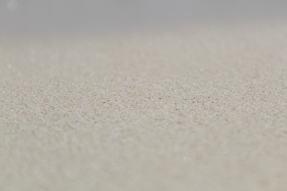 a close up of a sand dune with a blurry background