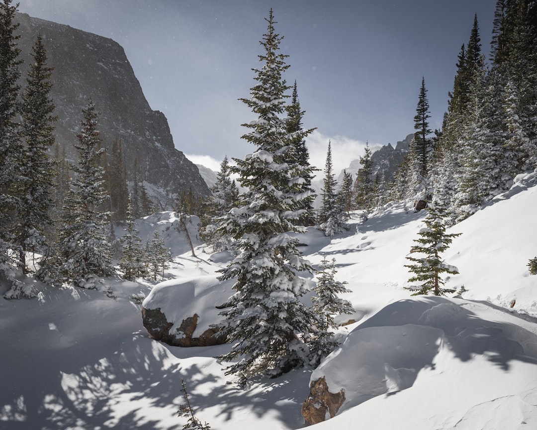 Exploring the True Size of Snowshoe Mountain Is 244 Acres Really Al… — Exploring the True Size of…, photo 2