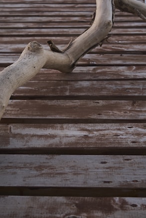 A large, weathered piece of driftwood rests on a wooden surface with visible grain and texture. The driftwood has a smooth, natural shape with some knots and rough patches, contrasting with the horizontal lines of the wooden background.