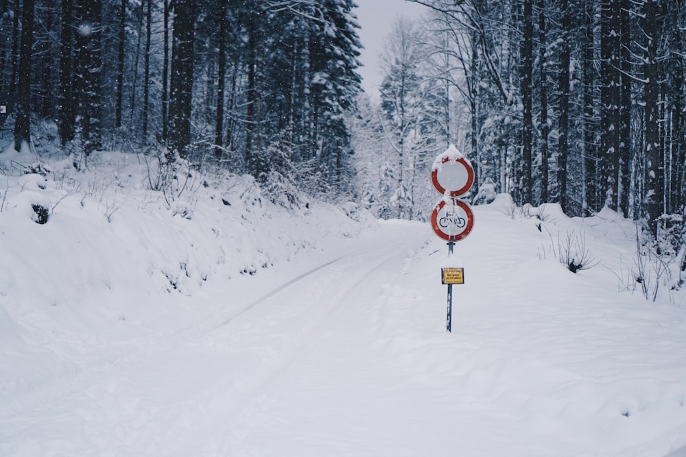 red road signage covered by snow
