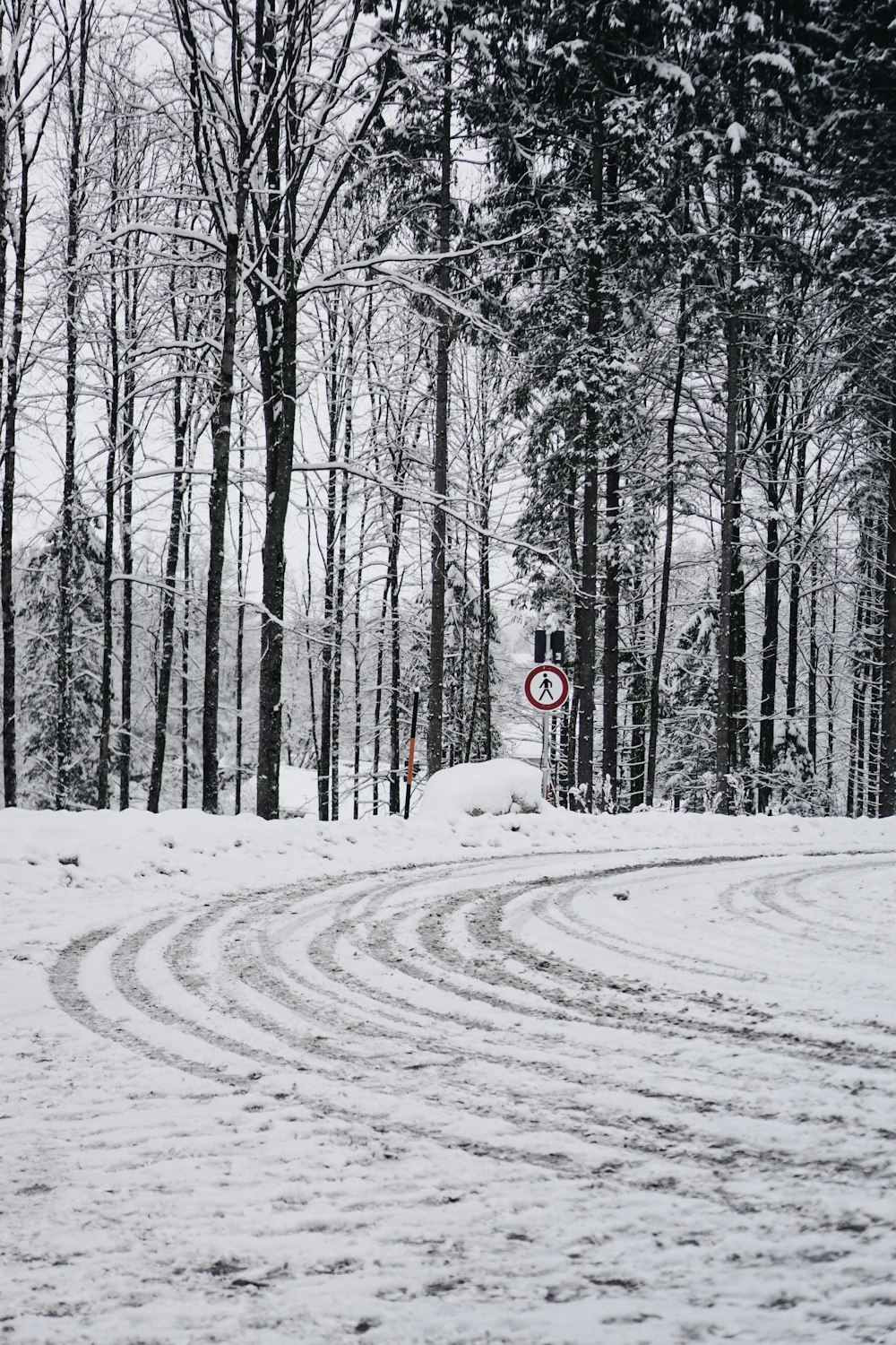 estrada coberta de neve