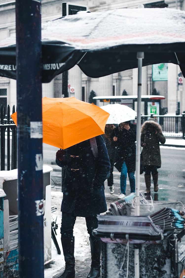 Umbrellas, people, rainy urban day