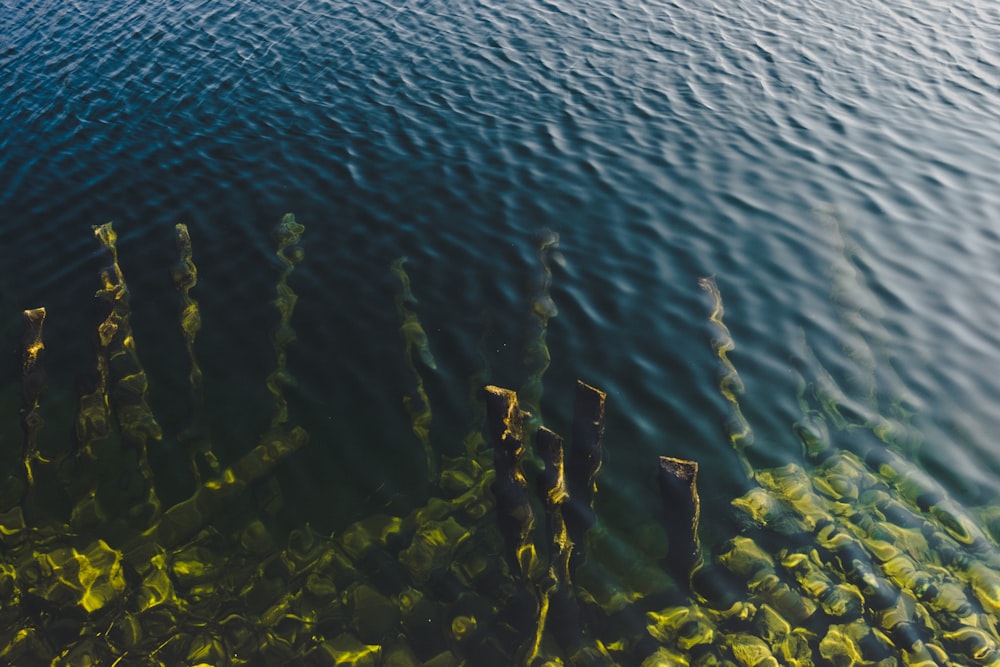 aerial photograph of body of water