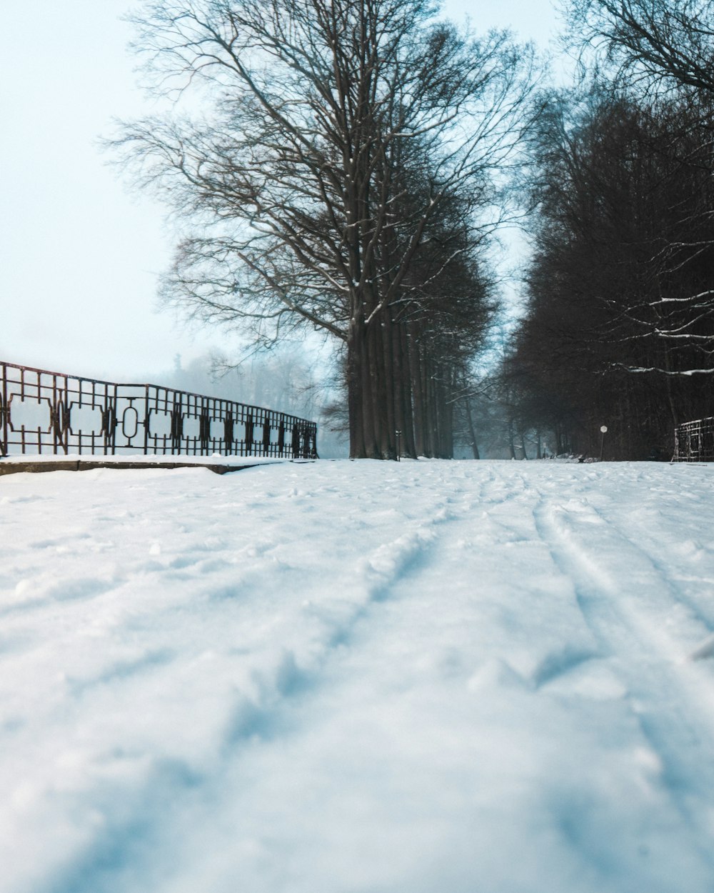 brown wooden bridge covered with snow