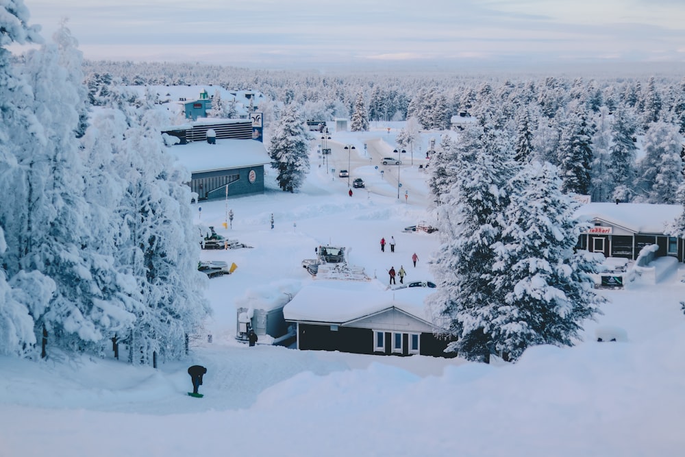 Häuser in der Nähe von Bäumen und Bergen, die mit Schnee bedeckt sind