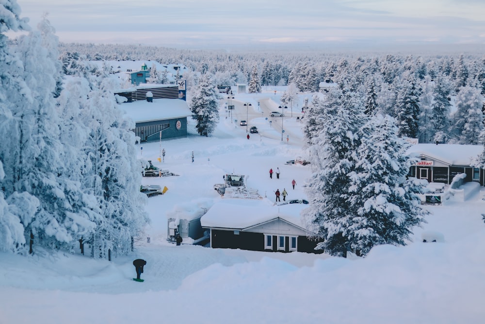 houses near tree and mountain covered by snow