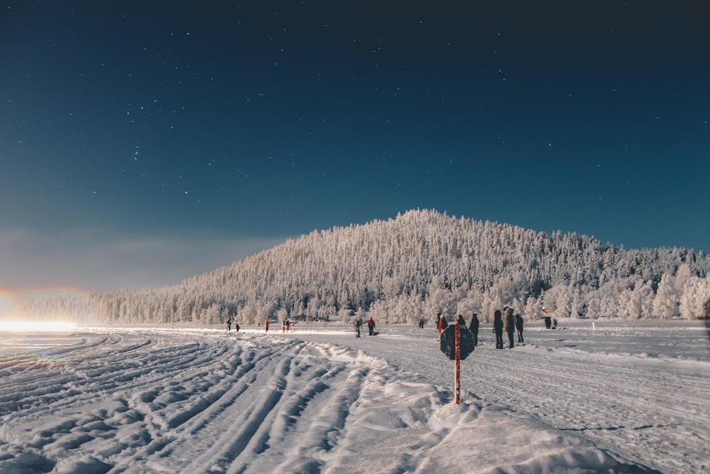 personnes debout près d’une montagne d’arbres couverts de neige pendant la journée