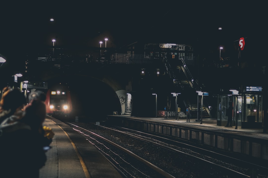 black train under foot bridge,