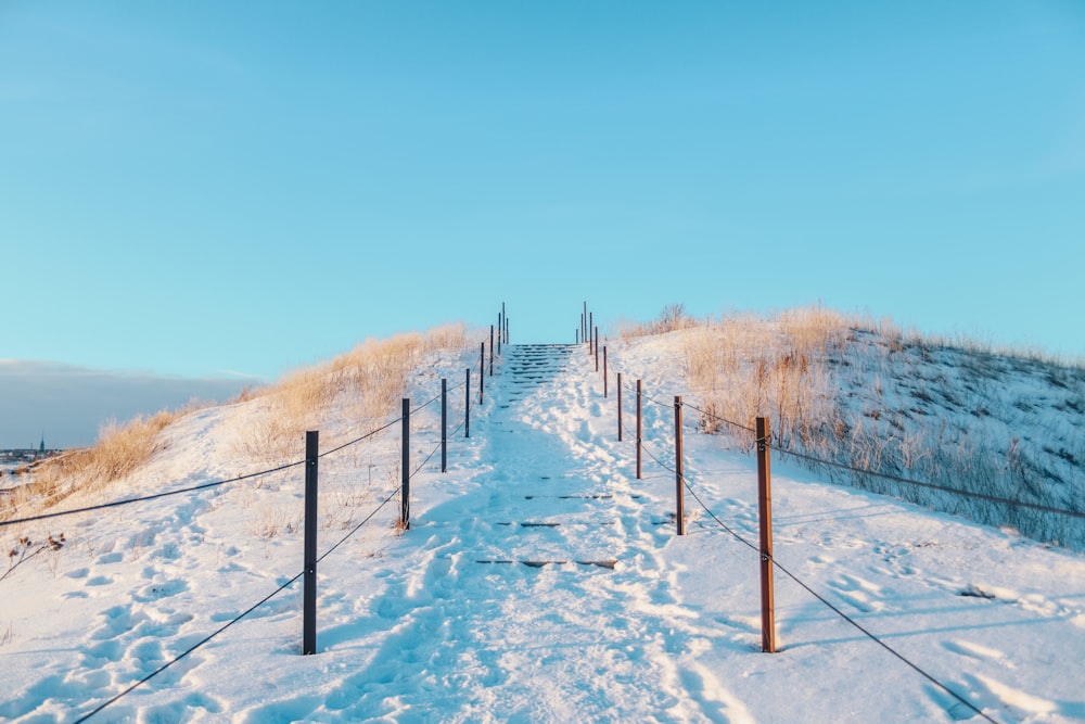 land covered with snow