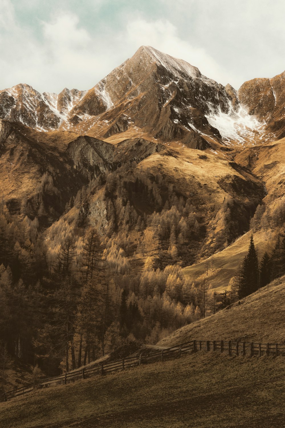 mountains and trees painting