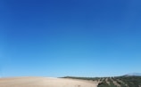 Empty plot of land surrounded by trees under a clear blue sky.
