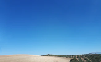 Open land with clear skies, ideal for future investment opportunities.