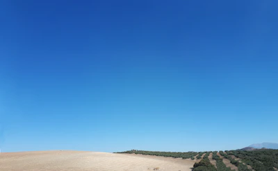 Open land with clear skies, ideal for future investment opportunities.
