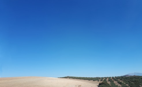 Photo of raw land parcels ready for investment under a clear sky.