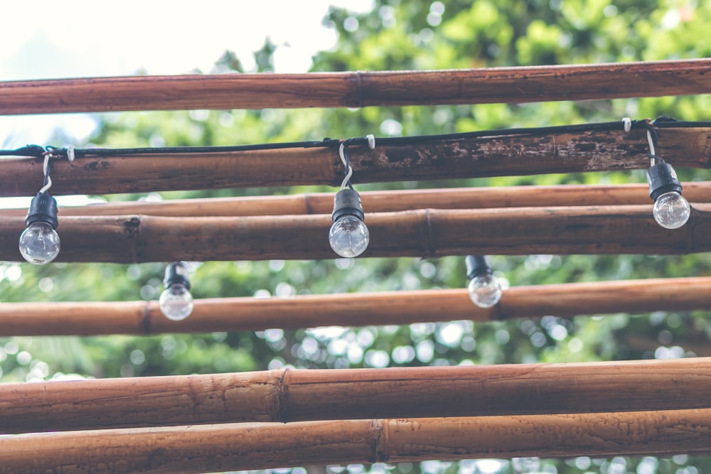 clear glass string lights on bamboo