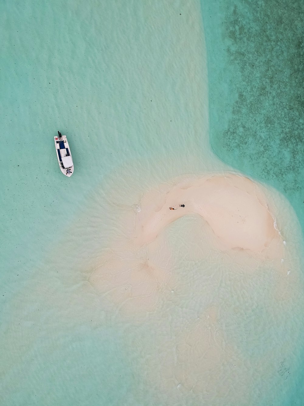 Bote en el cuerpo de agua cerca de la costa