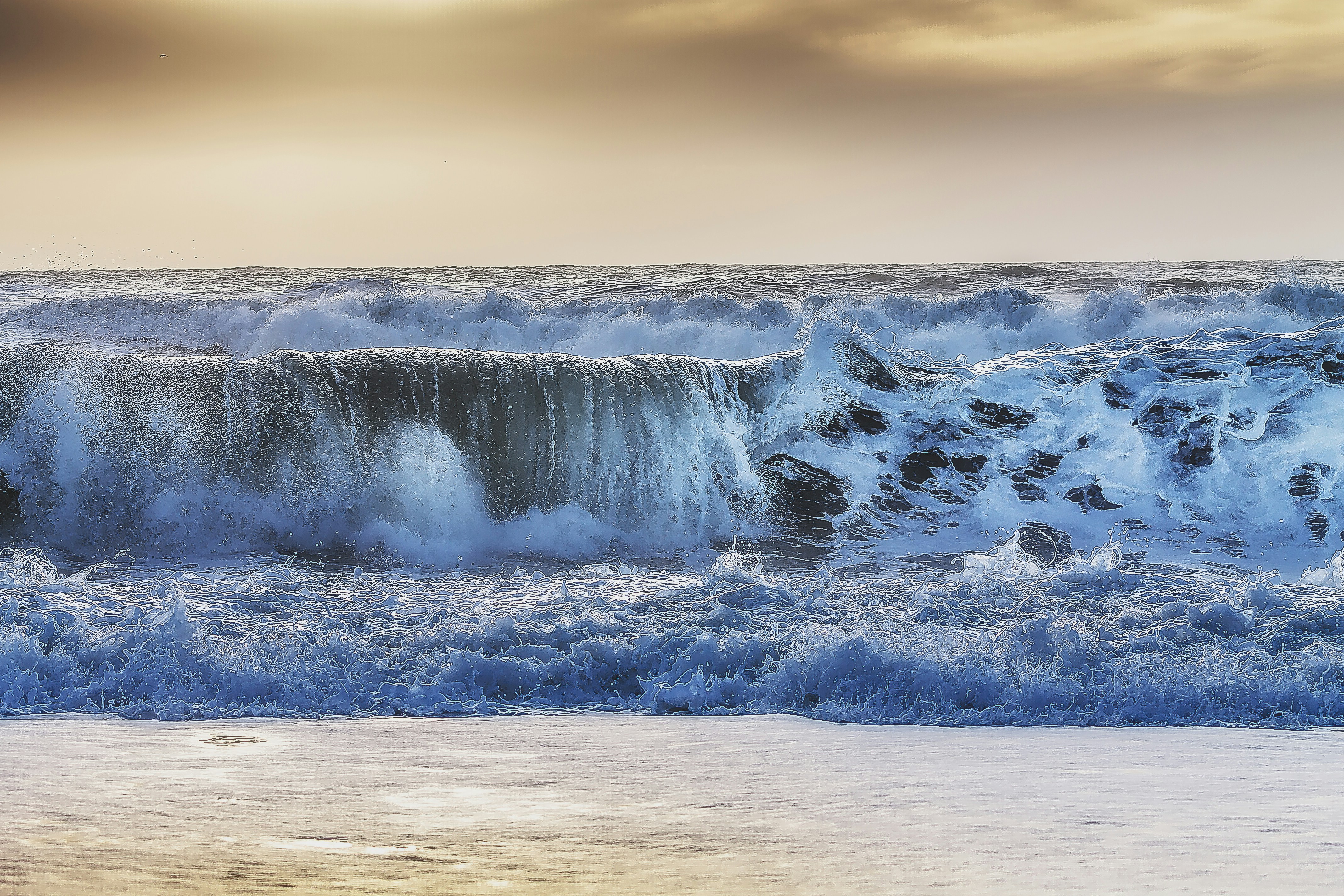 Photo by arizonanthony