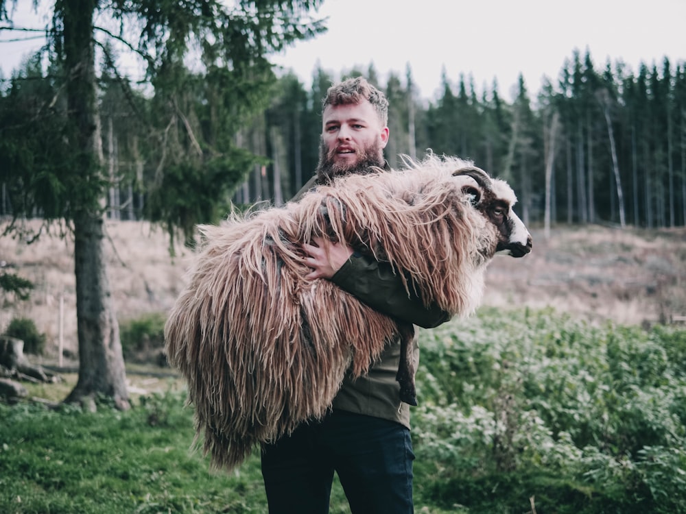 Hombre que lleva ovejas marrones durante el día