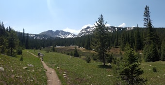 A scenic landscape featuring a mountainous area with snow-capped peaks in the background, surrounded by dense evergreen trees and a grassy meadow in the foreground. A dirt path cuts through the meadow, and two figures are walking along it, one carrying hiking gear.