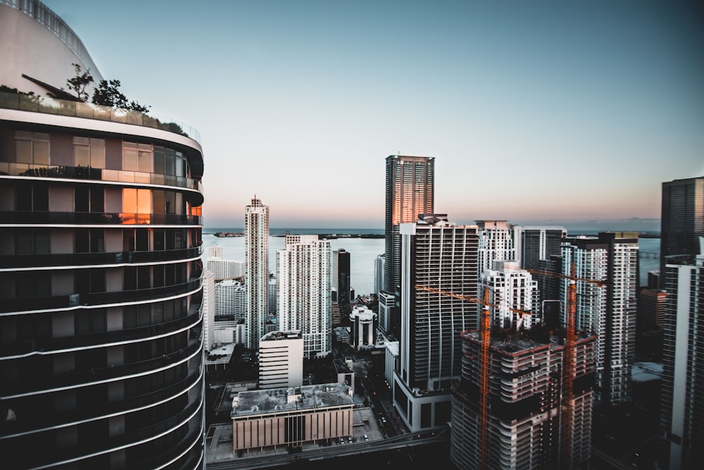 photo of high rise buildings