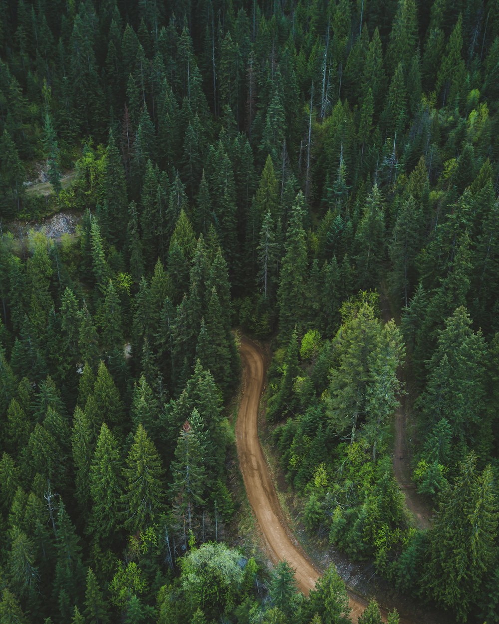 brown soil pathway between green leaf trees in aerial photography during daytime