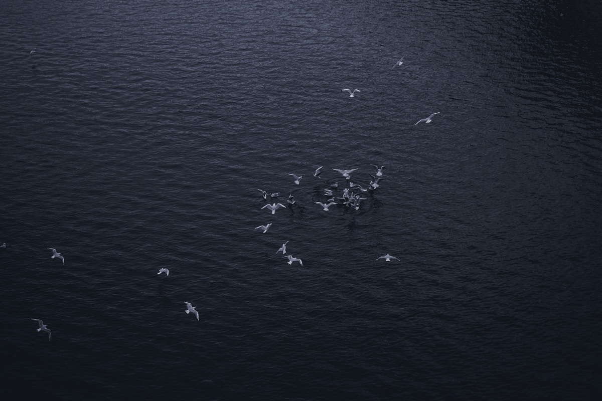 general related image for: DualEntry Lands $90M Series A to Disrupt ERP with AI Migration