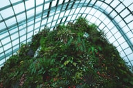 A lush vertical garden with an array of diverse plants and foliage, housed within a large, modern greenhouse with a geometric glass ceiling.