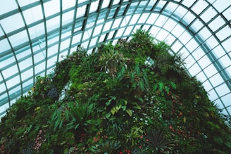 A modern greenhouse with lush plants thriving inside.