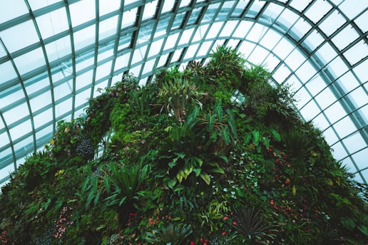 A lush vertical garden with an array of diverse plants and foliage, housed within a large, modern greenhouse with a geometric glass ceiling.
