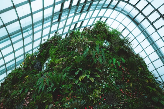 A modern greenhouse with lush plants thriving inside.