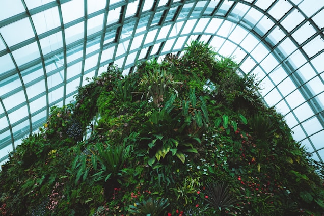 A vibrant vertical hydroponic tower showcasing lush green plants.