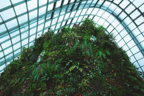 A lush vertical garden with an array of diverse plants and foliage, housed within a large, modern greenhouse with a geometric glass ceiling.