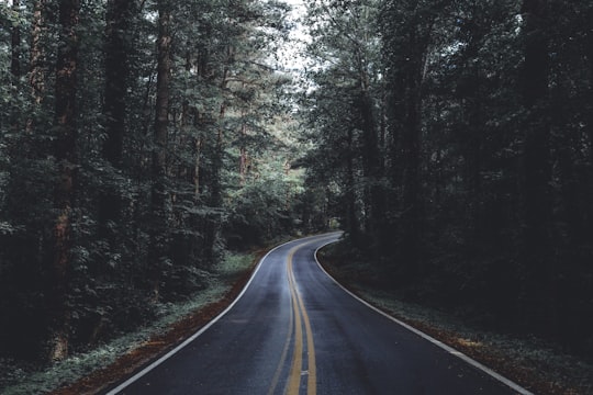 unused asphalt road in Tennessee United States