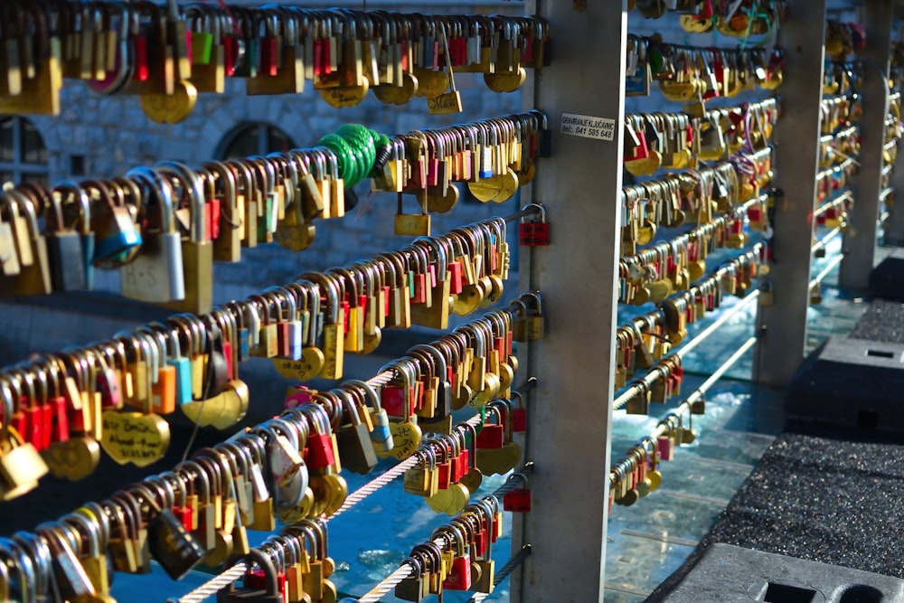 assorted locks lock on gray steel fence