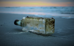 selective focus photography of bottle drifted on shore