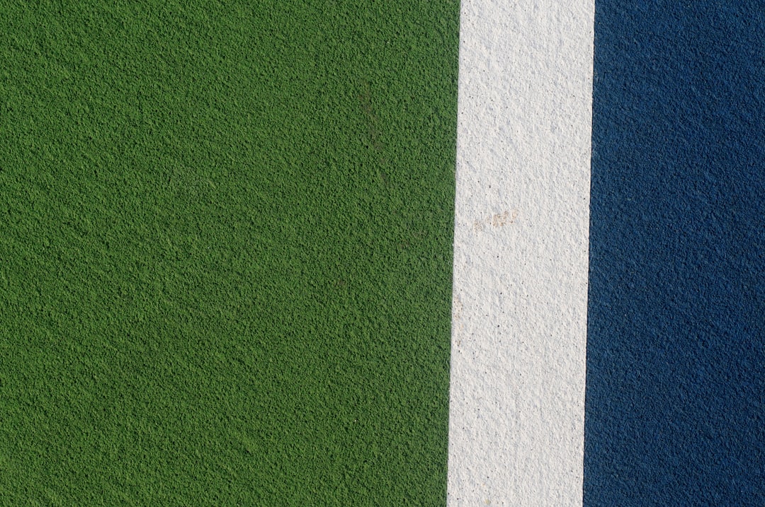 Playing the Pickleball Field: Tips for Flying Solo in Your New Favo… — Playing the Pickleball Field, photo 7