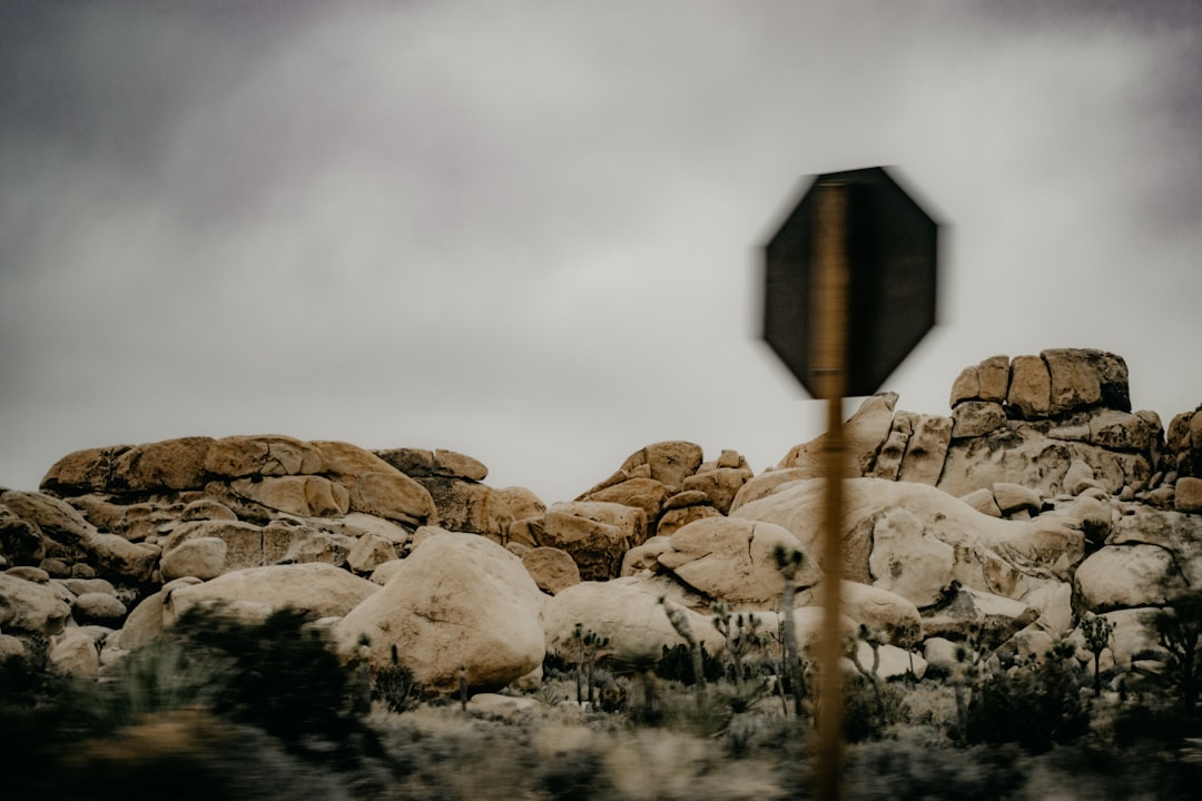 Ruins photo spot Joshua Tree United States