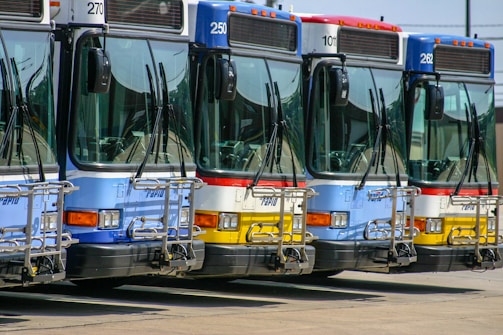 A fleet of buses ready for passenger transport.