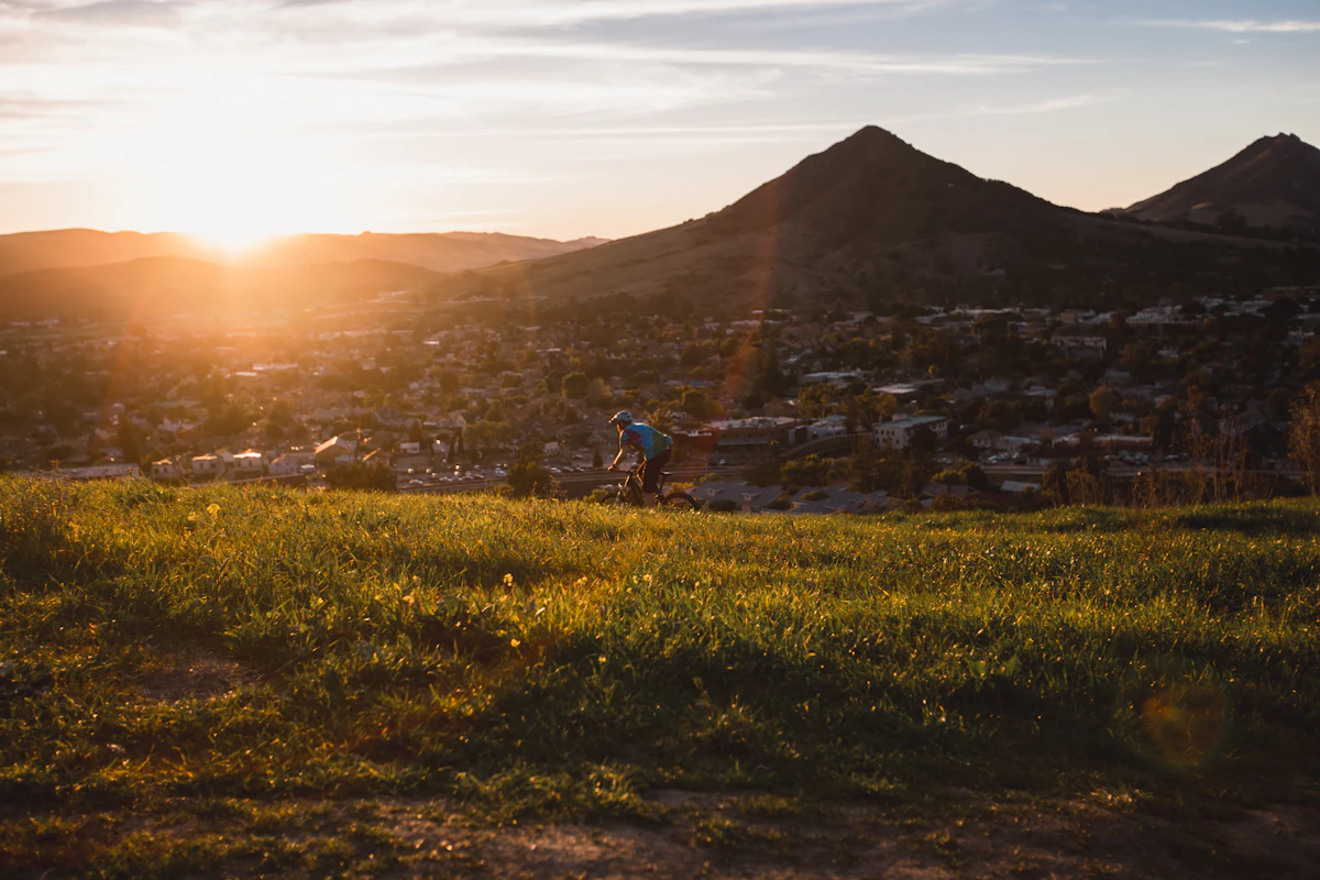Mountain biker riding a sunlit hillside trail